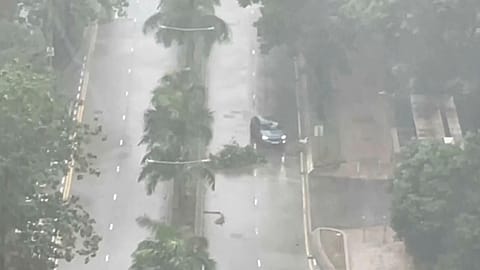 في هذه الصورة المأخوذة من لقطات فيديو، تتنقل سيارة متجاوزة فروع الأشجار المتساقطة بينما يضرب الإعصار الاستوائي "تاباه" هونغ كونغ في وقت مبكر من صباح الإثنين، 8 سبتمبر 2025.