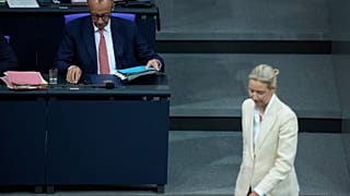 AfD-Vorsitzende Alice Weidel und Bundeskanzler Friedrich Merz 
