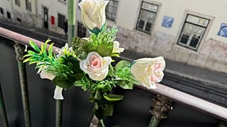 Flores no topo da Calçada da Glória