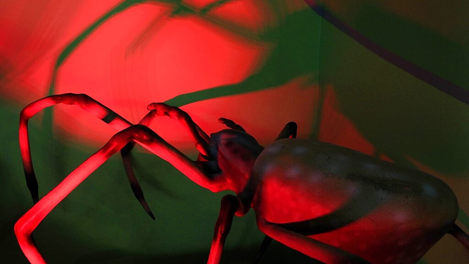 عنكبوت مضاء بالأحمر في معرض XTreme Bugs بمكالين، تكساس، الذي يضم 22 حشرة آلية وحوالي 100 حشرة ثابتة.