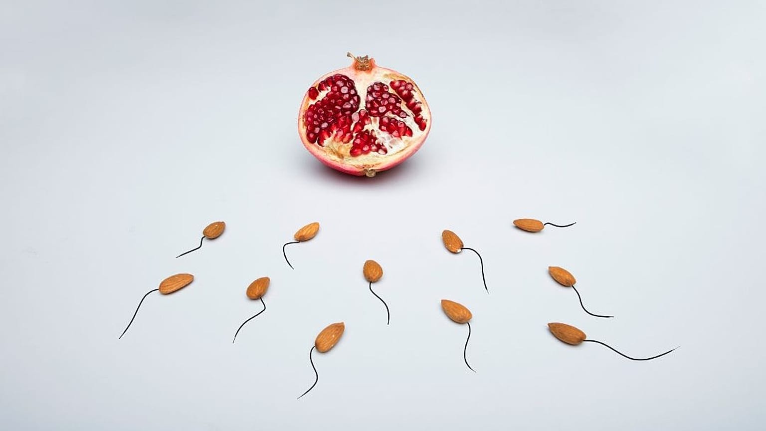 الحيوانات المنوية في سباقها نحو الحياة