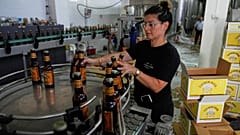 Nadin Khoury embala produtos da cerveja Taybeh numa linha de produção da empresa familiar palestiniana Taybeh Brewery Co. na cidade de Taybeh, na Cisjordânia. 6 de setembro de 2025.