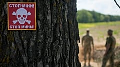 Ein Schild mit einer Warnung vor Landminen ist an einem Baum befestigt, während ein ukrainisches Spezialteam auf einem Feld am Stadtrand von Kiew (Ukraine) nach Minen sucht, Donnerstag, 9. Juni 2022