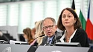 Katarina Barley, vice-president of the European Parliament leading a plenary session on Thursday