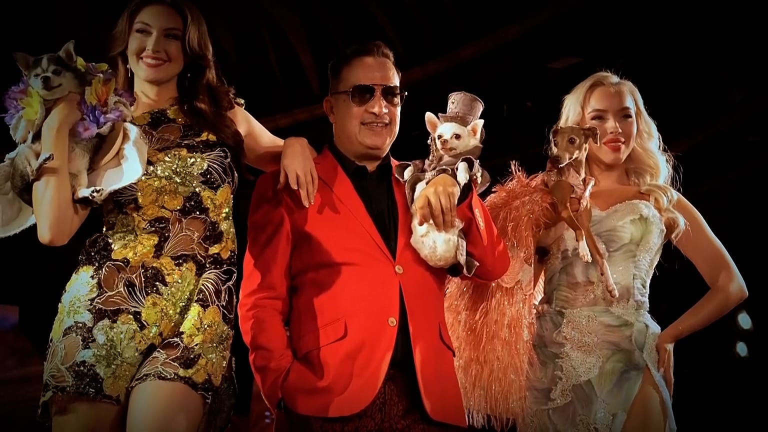 Fifteen pups (and one cat) steal the runway at New York Fashion Week