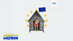 In Europa gibt es etwa 90 Millionen Haushunde.