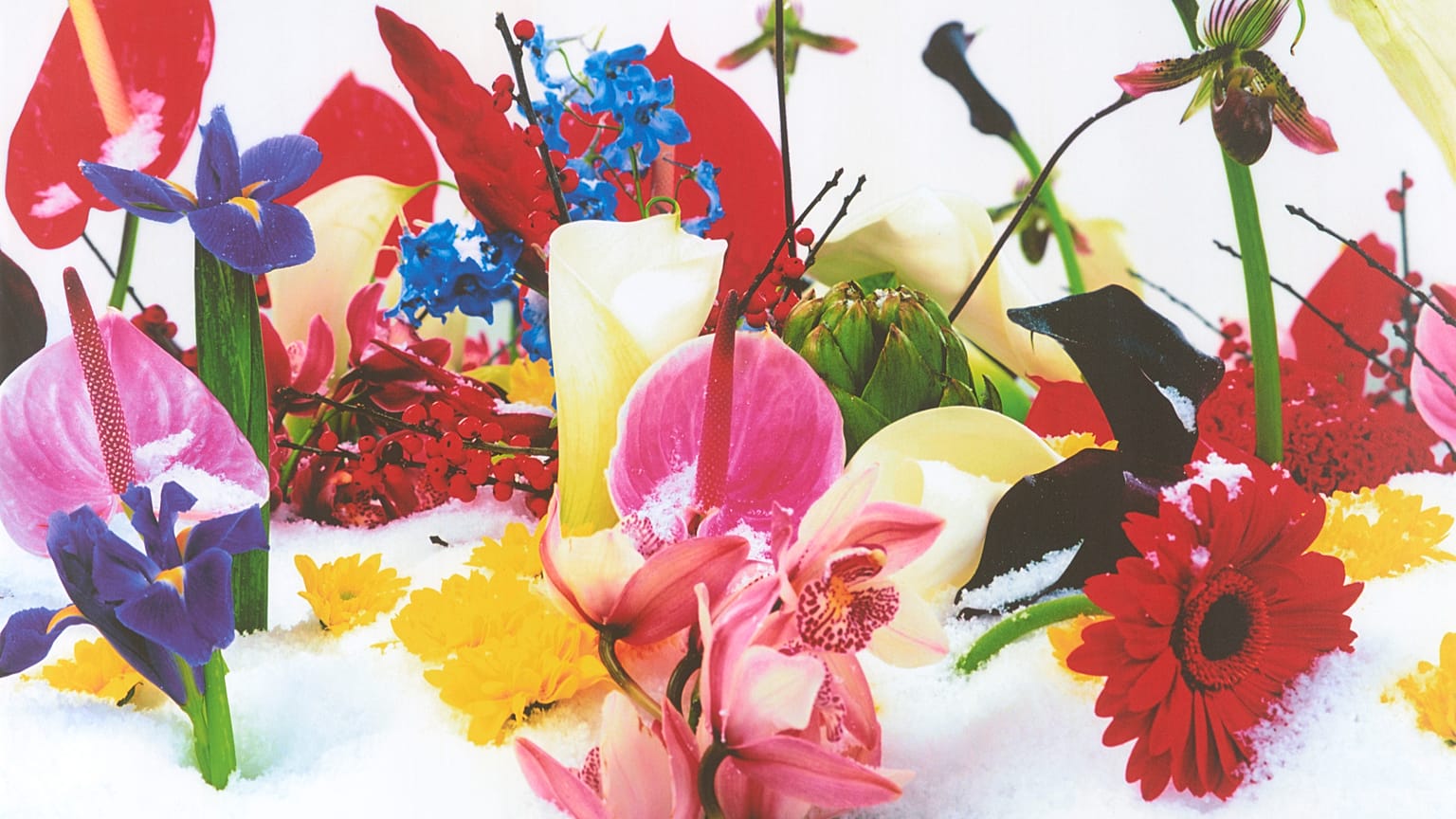 Marc Quinn - İsimsiz 
