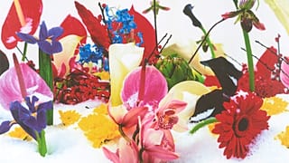 Marc Quinn - İsimsiz 