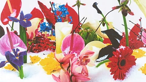 Marc Quinn - İsimsiz 