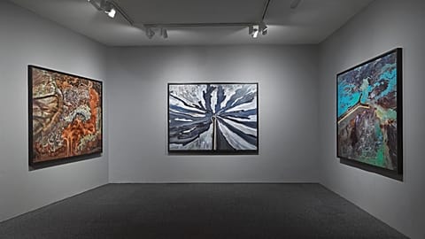 Edward Burtynsky