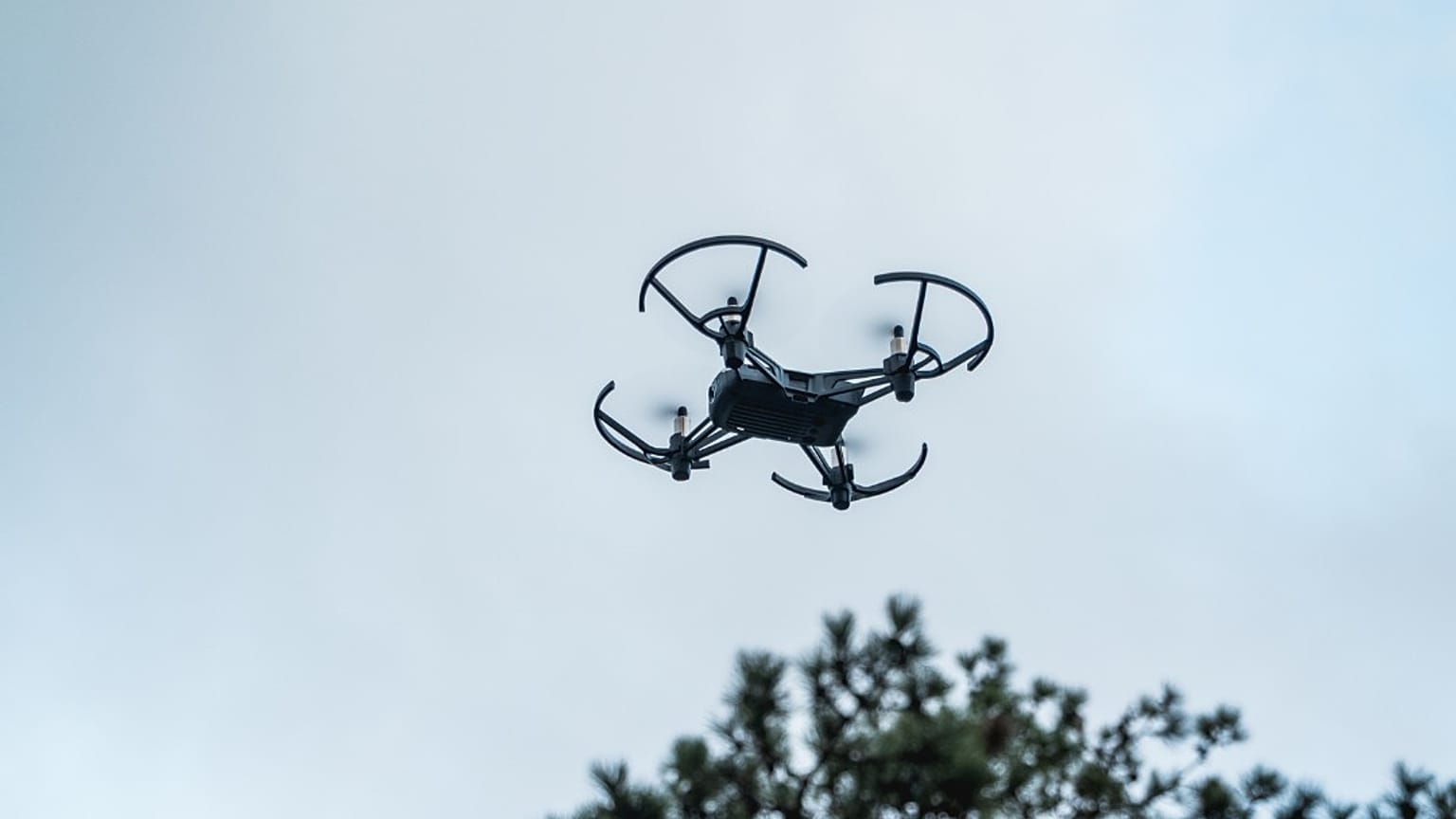 Two companies involved with the Baltic Drone Wall project say their tech is ready but what will it take to integrate it throughout Europe? 