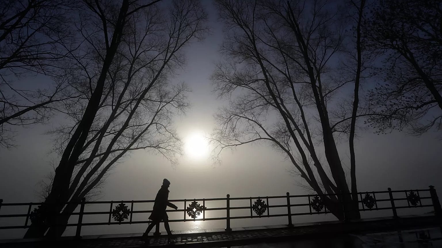A woman walks along the banks of a lake on a foggy day in the town of Nesvizh, 14 January, 2020