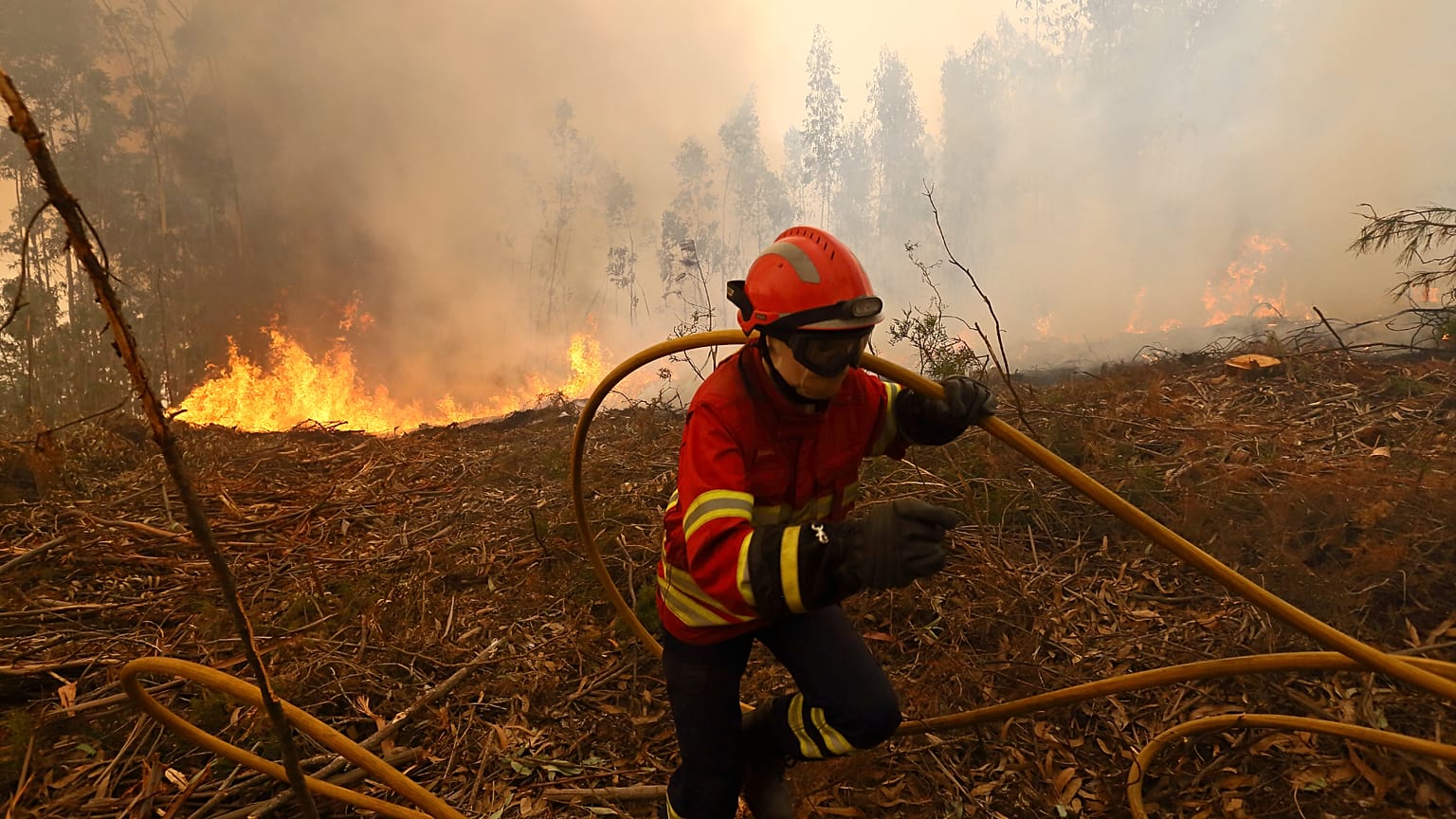 Um bombeiro corre com uma mangueira enquanto trabalha para extinguir um incêndio nos arredores de Sever do Vouga, uma cidade no norte de Portugal. 18 de setembro de 2024. 