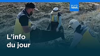 L’info du jour | 21 septembre 2025 - Mi-journée