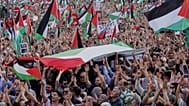 Акция в поддержку Палестины в немецком Франкфурте, 30 августа 2025 года
