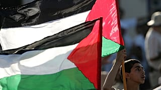 Bandiere palestinesi