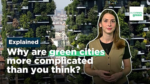 Explained: Why greening our cities is not just about planting more trees