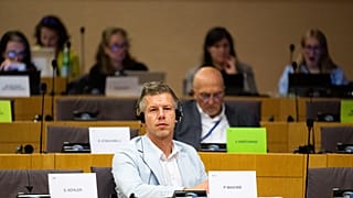 Peter Magyar ist Vorsitzender der Theiss-Partei, die bei den Umfragen in Ungarn führend ist