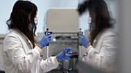 مساعدة مختبر تستخدم الماصّة لتحضير RNA لفيروس كورونا من أجل التسلسل الجيني في معهد ويلكوم سانجر الذي تديره أبحاث الجينوم في كامبريدج