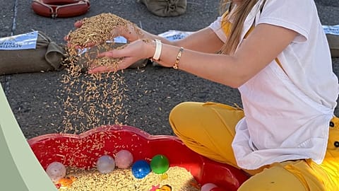 стоковая фотография