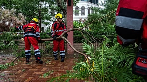 رجال الإنقاذ يزيلون شجرة ساقطة في منطقة لي يو مون مع اقتراب الإعصار الخارق راغاسا من هونغ كونغ، يوم الأربعاء 24 سبتمبر/أيلول 2025.