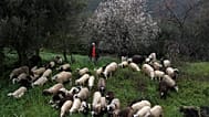 Φωτογραφία αρχείου από την Κέρκυρα