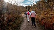 A hiking group walks.