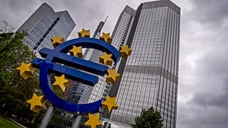 To date, only 7 out of 20 eurozone countries operate a national card scheme.