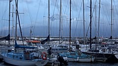 Marina da Horta, no FAial, com o Pico ao fundo