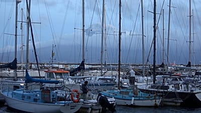 Marina da Horta, no FAial, com o Pico ao fundo