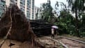 An uprooted tree blocks a path in the Ho Man Tin area, as super typhoon Ragasa approaches in Hong Kong, Wednesday, Sept. 24, 2025.