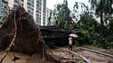 Hong Kong'da süper tayfun Ragasa yaklaşırken Ho Man Tin bölgesinde kökünden sökülmüş bir ağaç yolu kapatıyor, 24 Eylül 2025, Çarşamba.