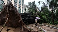 An uprooted tree blocks a path in the Ho Man Tin area, as super typhoon Ragasa approaches in Hong Kong, Wednesday, Sept. 24, 2025.
