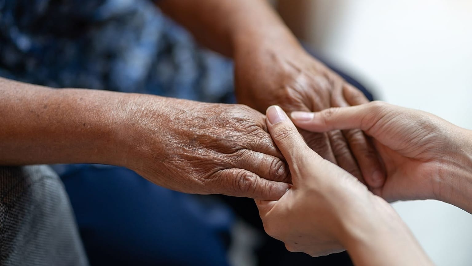 Scientists have long been intrigued by the world's oldest citizens.