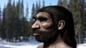 Homo longi temsili