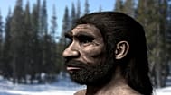 Homo longi temsili