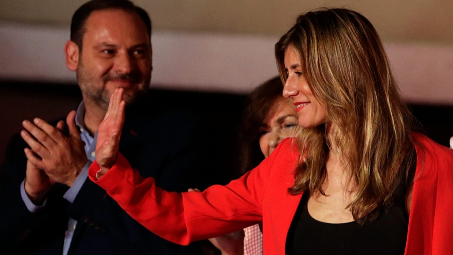 Μπεγόνια Γκόμεθ, αρχείο εικόνας (2019)