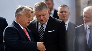 Премьер-министр Венгрии Виктор Орбан и его словацкий коллега Роберт Фицо, 28 сентября 2025 года