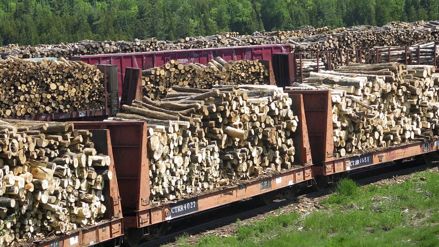  A 8vJune 2017 photo shows wood stored at The Sappi Mill, Minnesota, US.