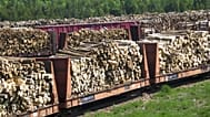  A 8vJune 2017 photo shows wood stored at The Sappi Mill, Minnesota, US.