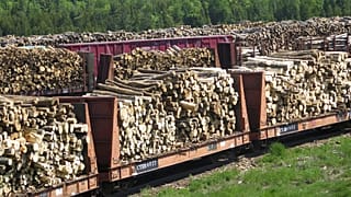 A 8vJune 2017 photo shows wood stored at The Sappi Mill, Minnesota, US.