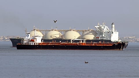 Анис Белгул