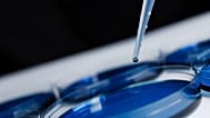 A scientist uses a pipette with a dish in the lab.