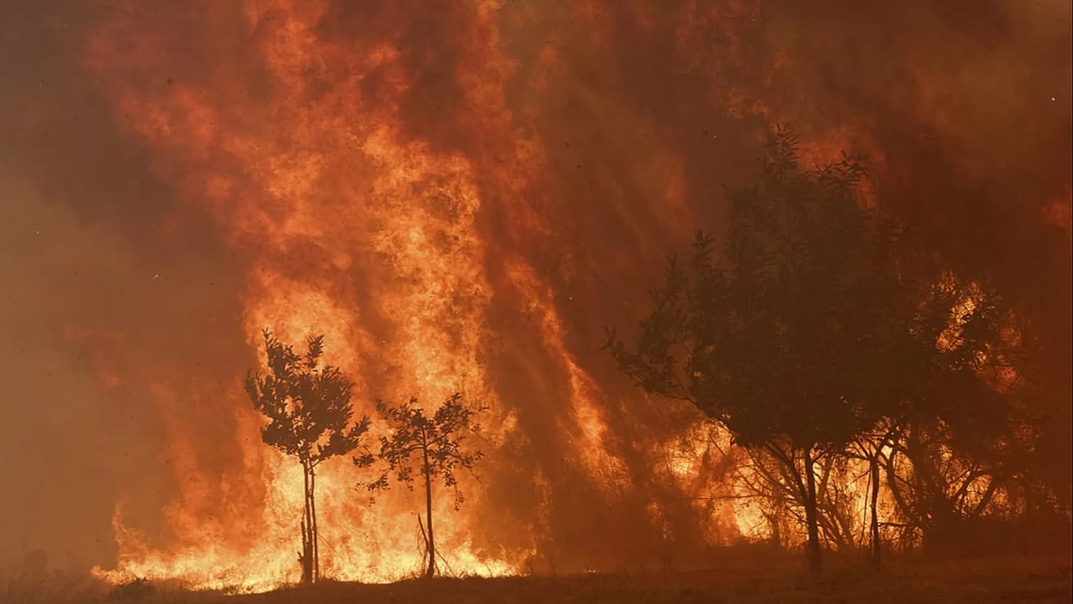 A wildfire burns out of control in a forest near Rebordondo village, near Ourense, in northwestern Spain.