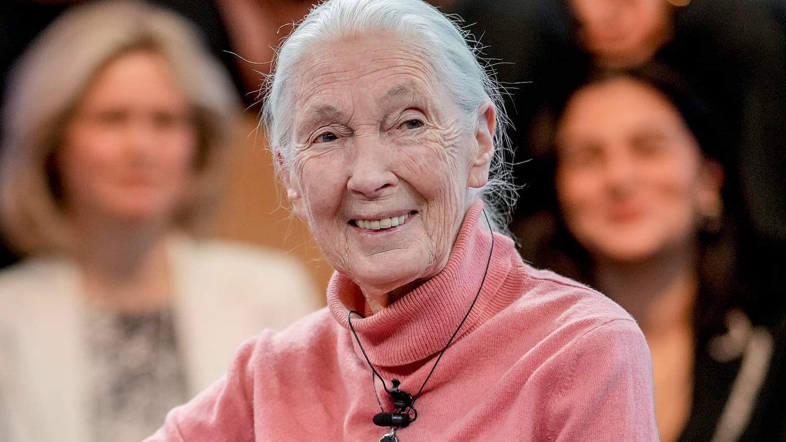 Jane Goodall, en una foto de archivo.