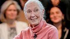 Jane Goodall, en una foto de archivo.