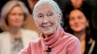 Jane Goodall, en una foto de archivo.