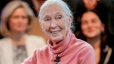 Jane Goodall