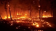 Burning trees are pictured during a wildfire in Carcastillo, northern Spain, Sunday, Aug. 10, 2025. 