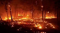 Des arbres en feu sont photographiés lors d'un incendie de forêt à Carcastillo, dans le nord de l'Espagne, dimanche 10 août 2025. 